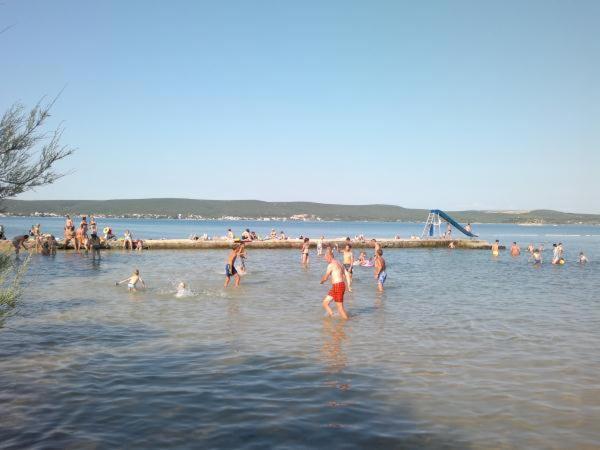 Apartmani Marija Pašman Szoba fotó